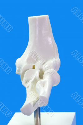  Elbow