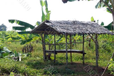 small shack on the field