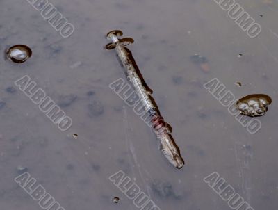 Syringe.
