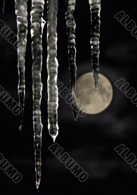 Greater icicles.