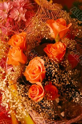 Red roses.