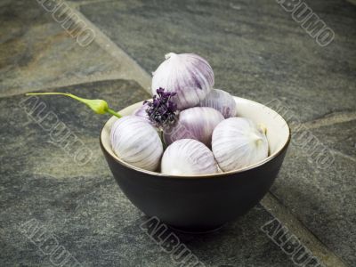 garlic