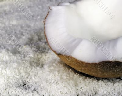 Coco nut