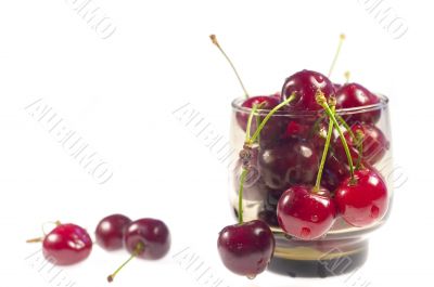 Cherry