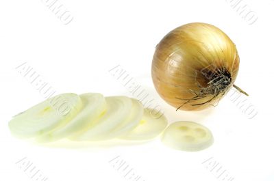 White Onion