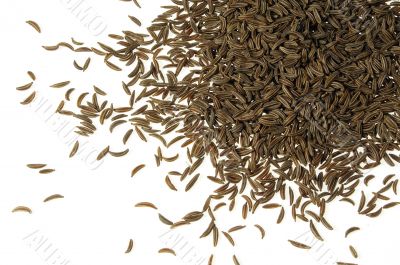 Caraway seed