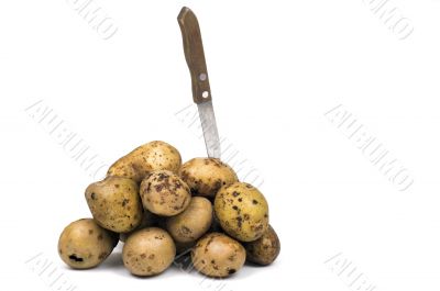 Potato