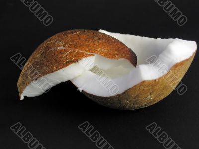 Coco nut