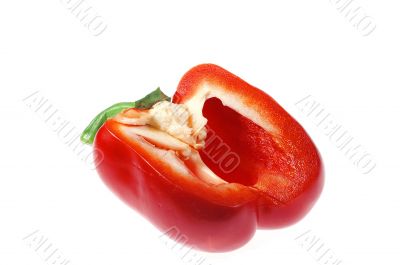 Paprika