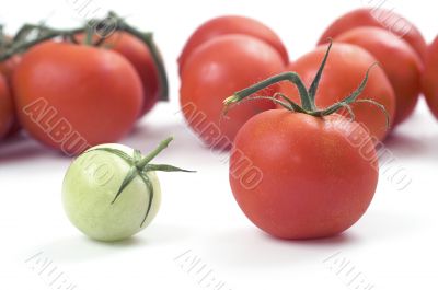 Tomato