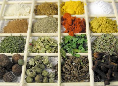 Spice