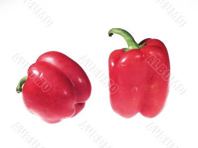 Red paprika