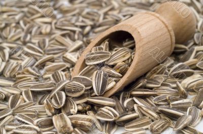 Oil grain