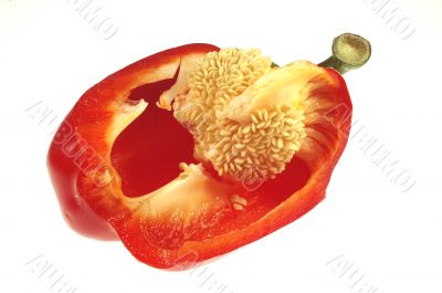 Paprika