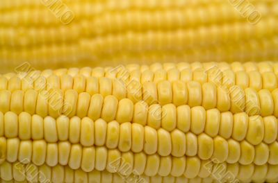 Cob corn