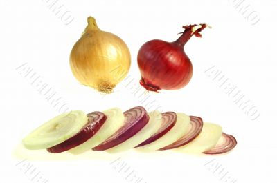 Onion