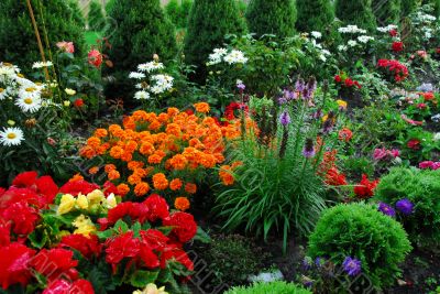flowers and trees