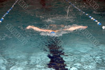 butterfly swimmer