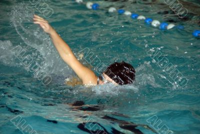 freestyle swimmer