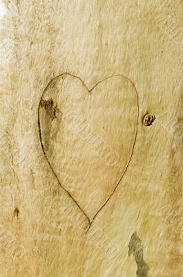 Heart of love