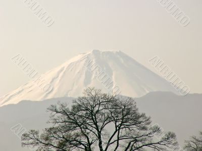 mt.Fuji view