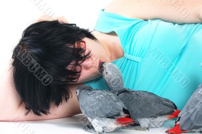 red tale parrot isolated on white kissing with female
