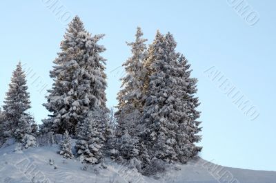 Winter