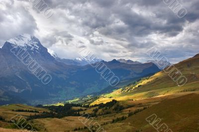 Autumn Alpine meadow