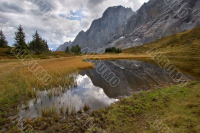 The bog is high in mountains