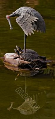 Nature and mastership