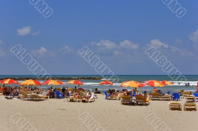 Happy summer day