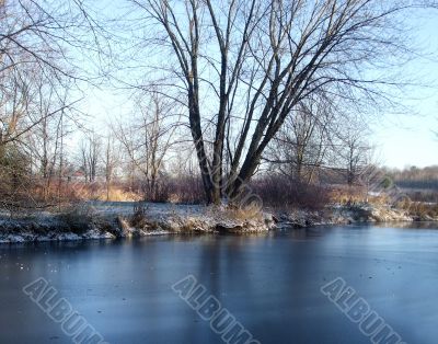 Frozen Winter Pond