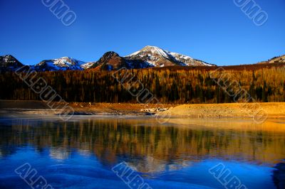 Icy Reflections