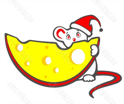 timid mousy and cheese