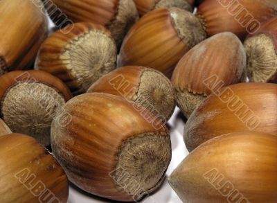 Hazelnuts