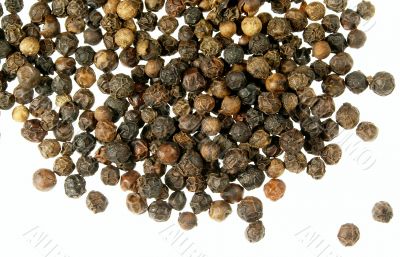 Pepper