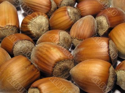 Hazelnuts