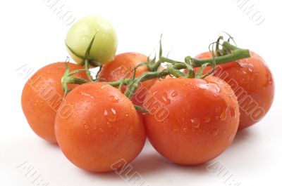 Tomato