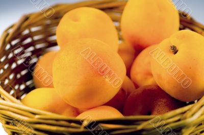 Apricot