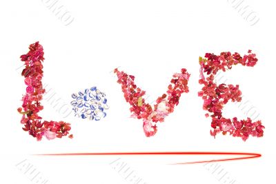 Bright Love