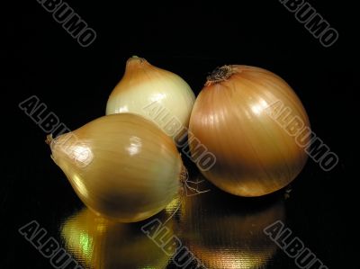 Onion