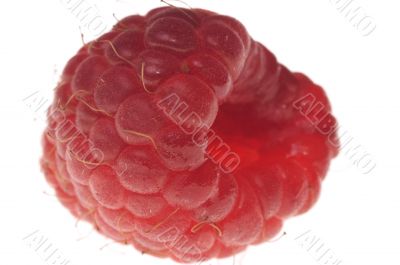 Big raspberry