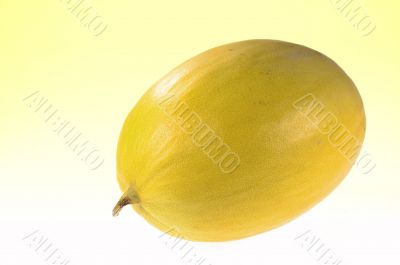 Melon