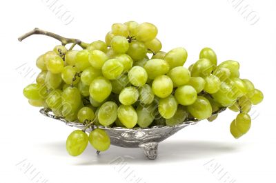 White grape
