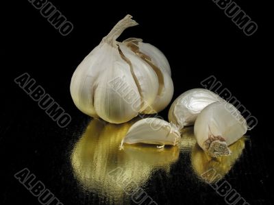 Garlic