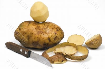Potato