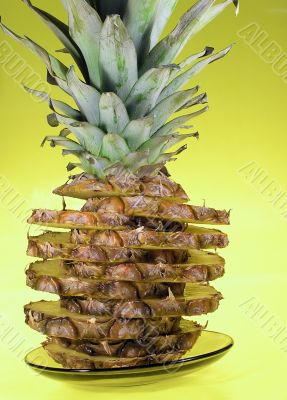 Pineapple