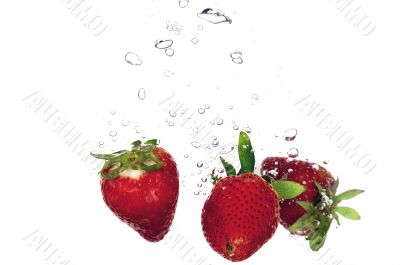 Strawberry splashing