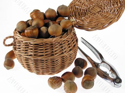 Hazelnuts
