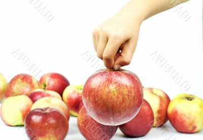 apple